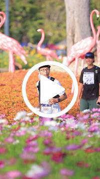 BIB:  <button type="button" onclick="openModal(27588540)" class="btn btn-primary btn-sm float-right" data-toggle="modal" data-target=".modal-high-quality">
                <i class="fa fa-download"></i> Download
                </button>